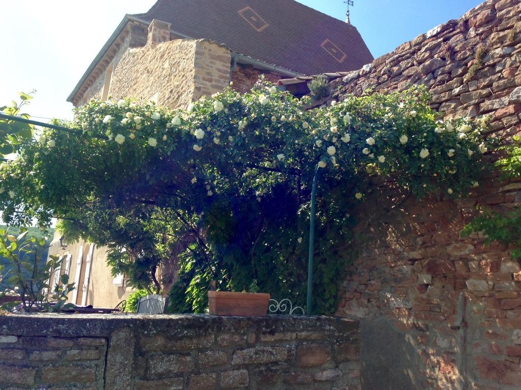 Le Vieux Chateau Acomodação com café da manhã Leynes Exterior foto